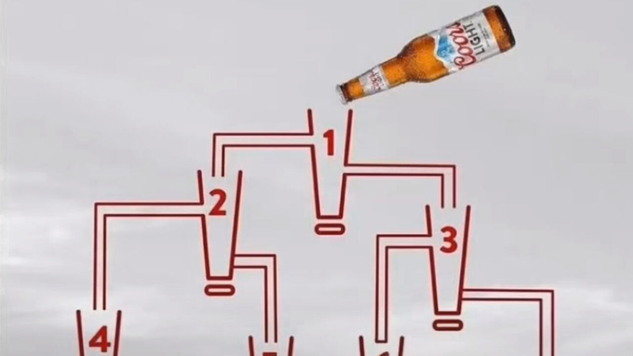 Čaše