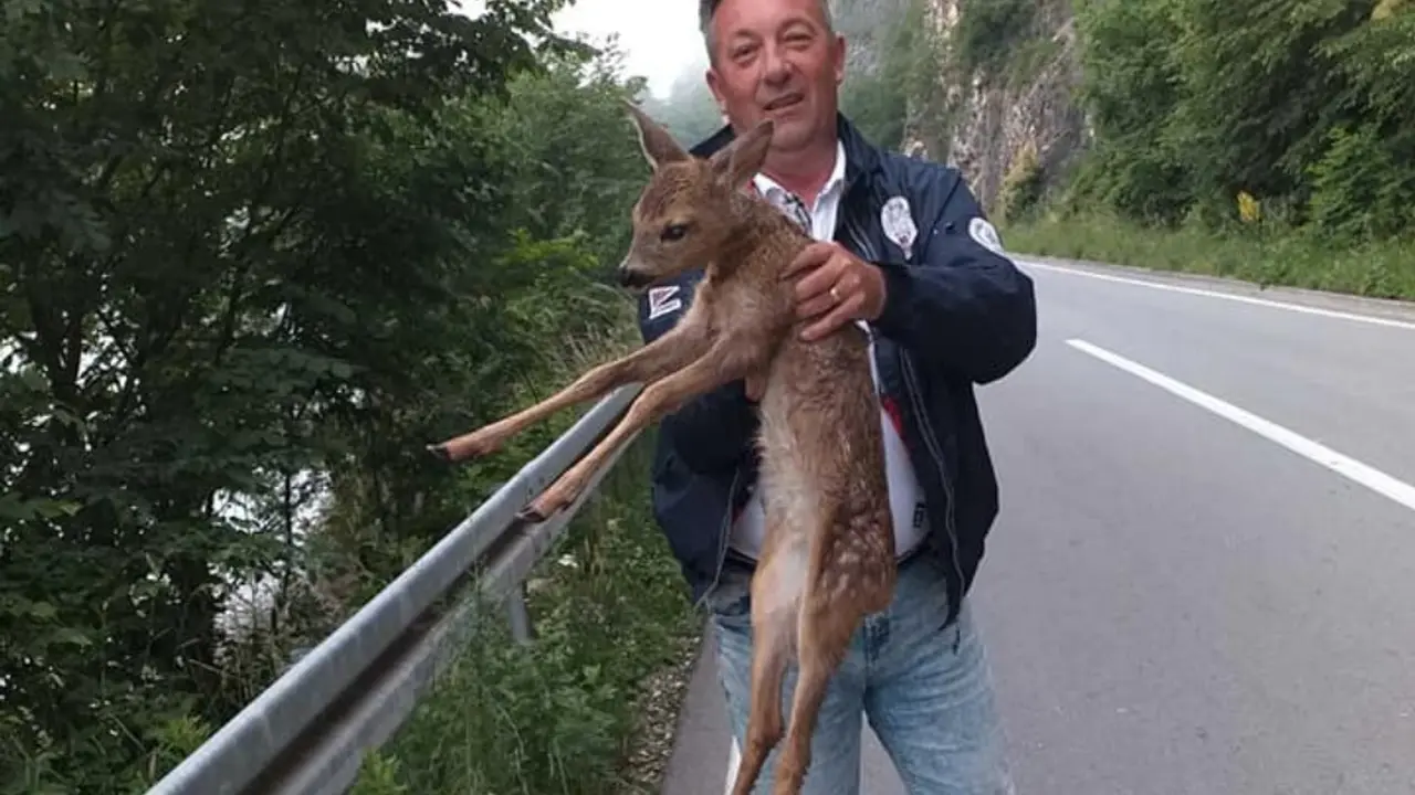 Miodrag Ciric