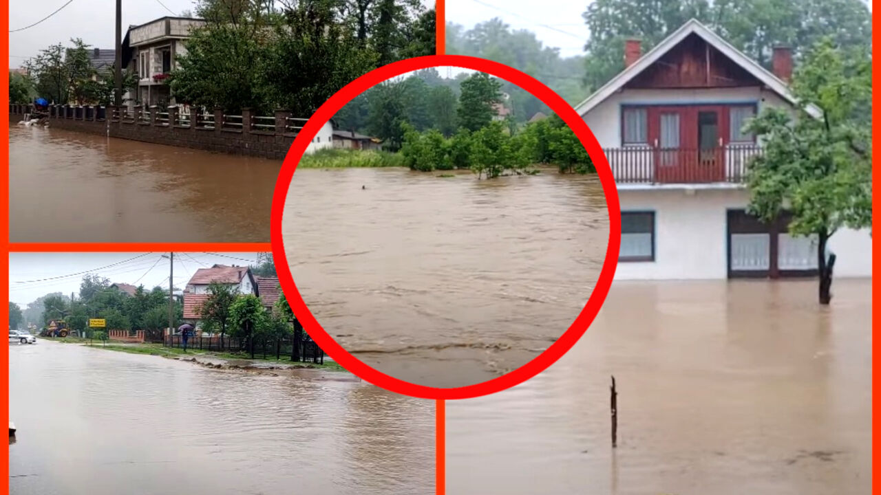 poplave