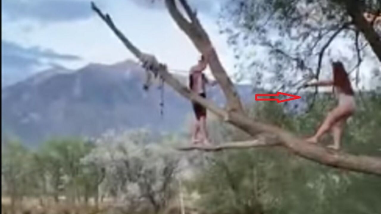 Skok u vodu