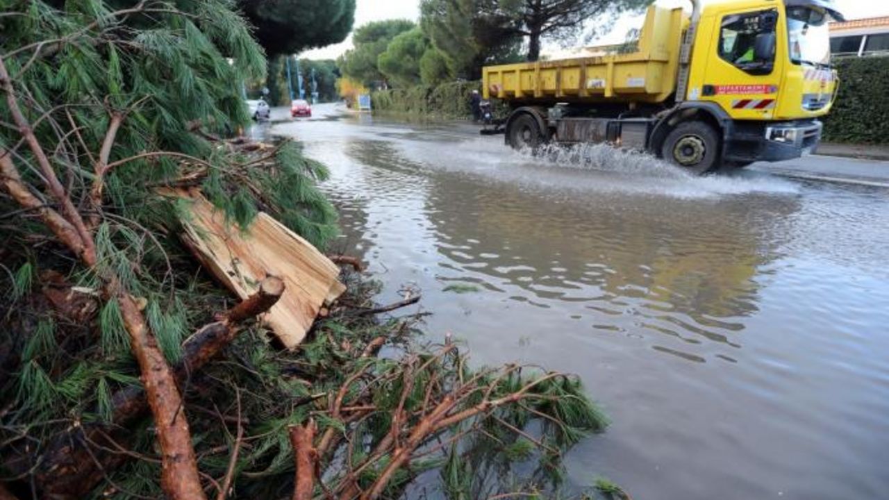 poplave