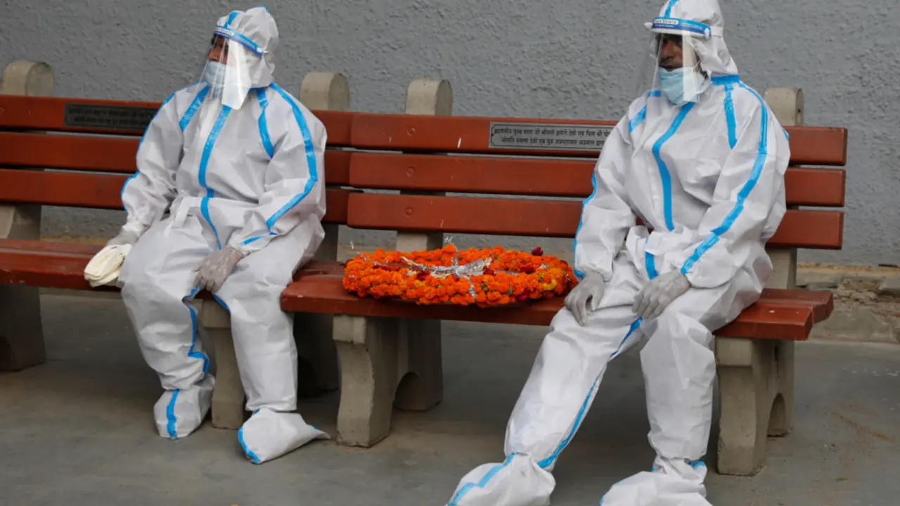 korona virus