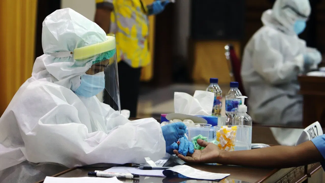 korona virus