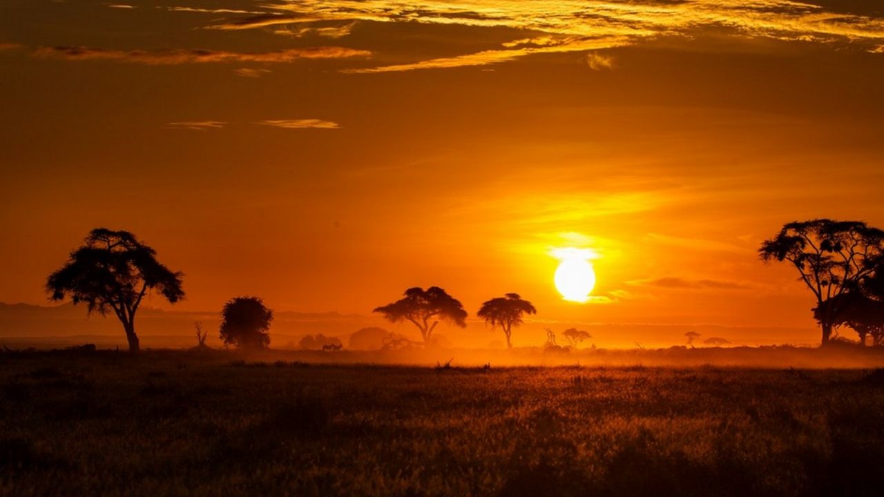 Afrika