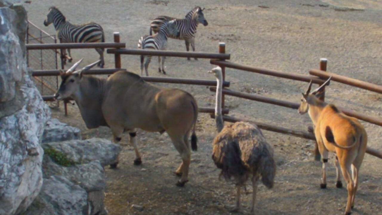 Beo zoo vrt