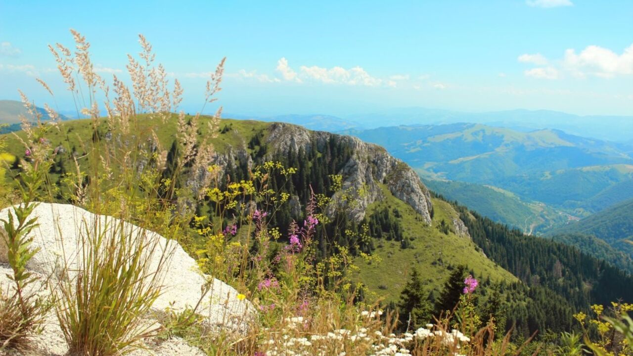 Kopaonik