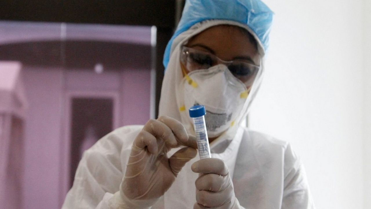 korona virus
