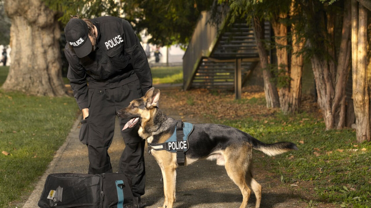 Policijski pas 