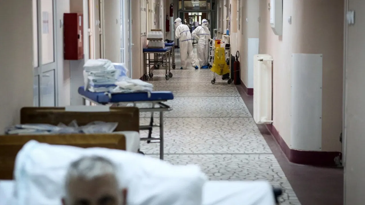 korona virus