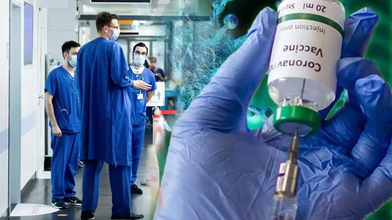 korona virus