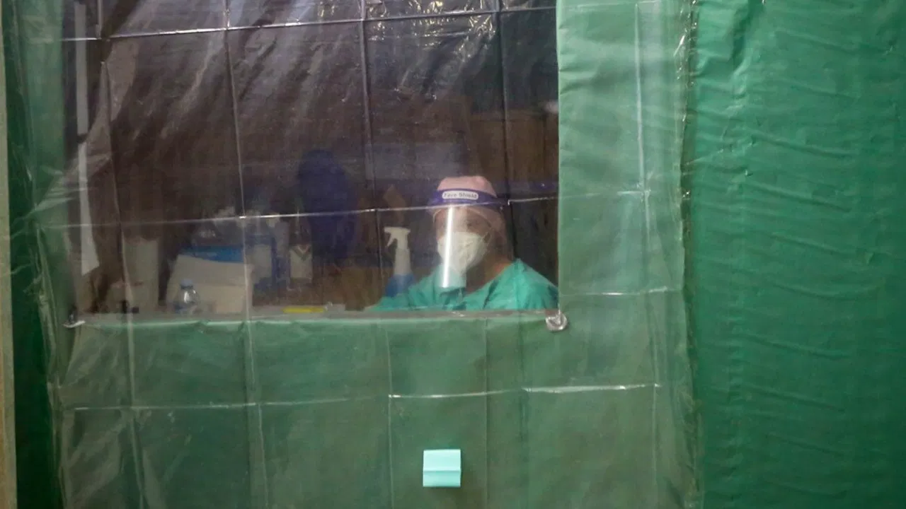 korona virus