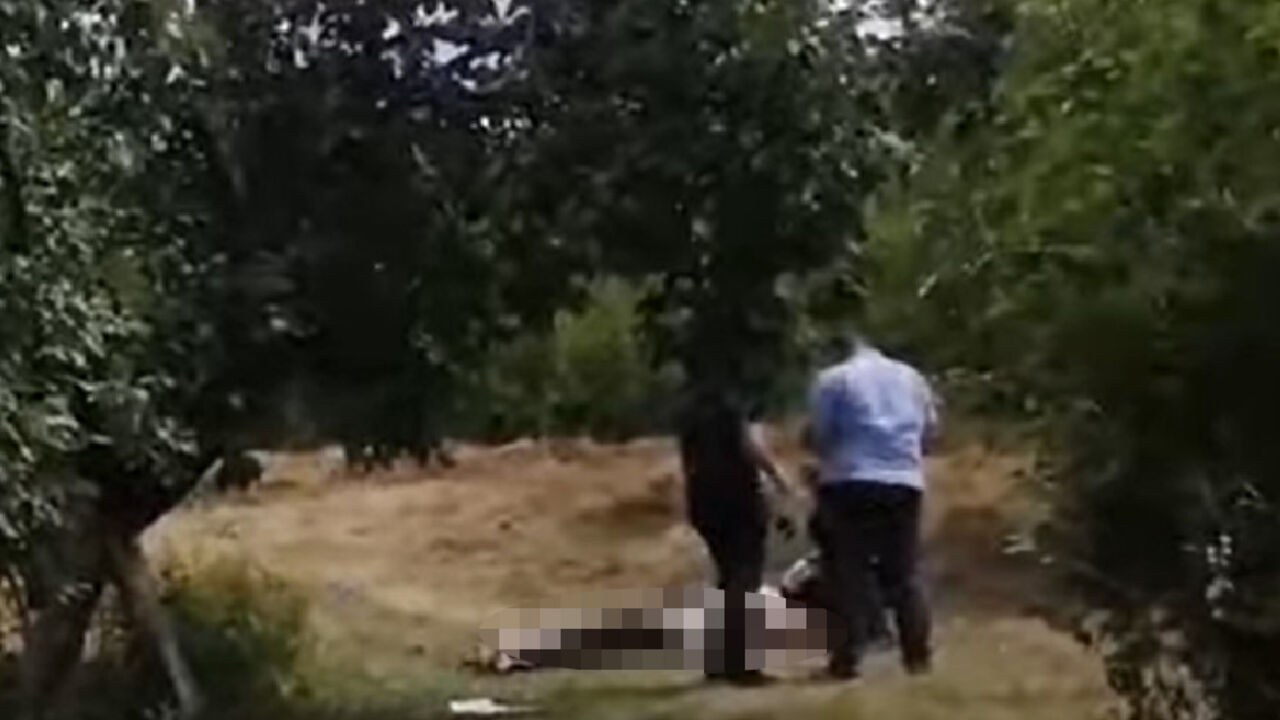 Foto: Youtube/PrintScreen/Vecernje novosti