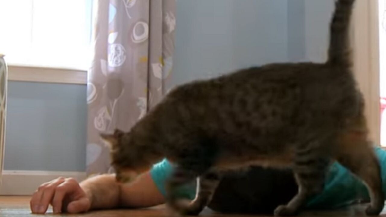 Čovek glumi da je mrtav