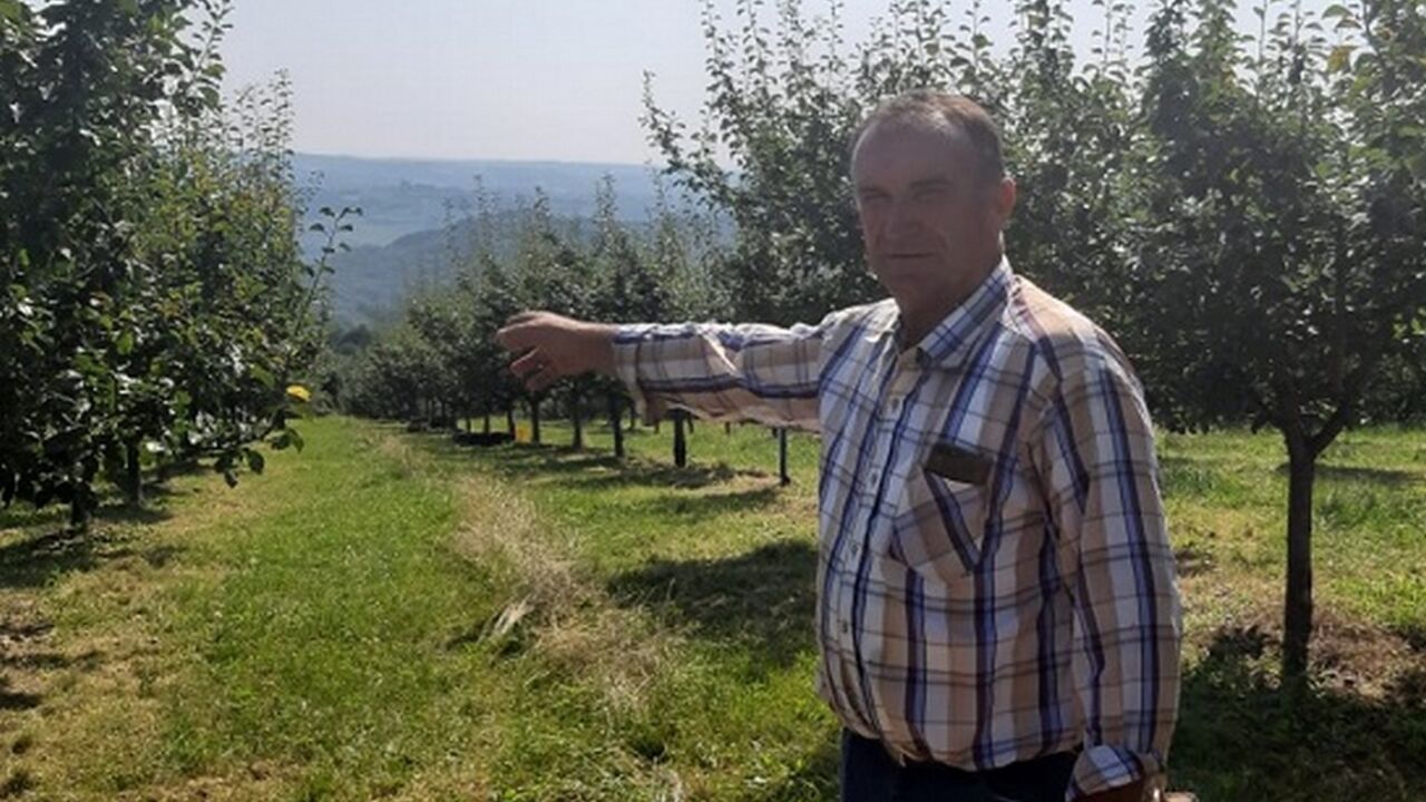 Tomislav Marković