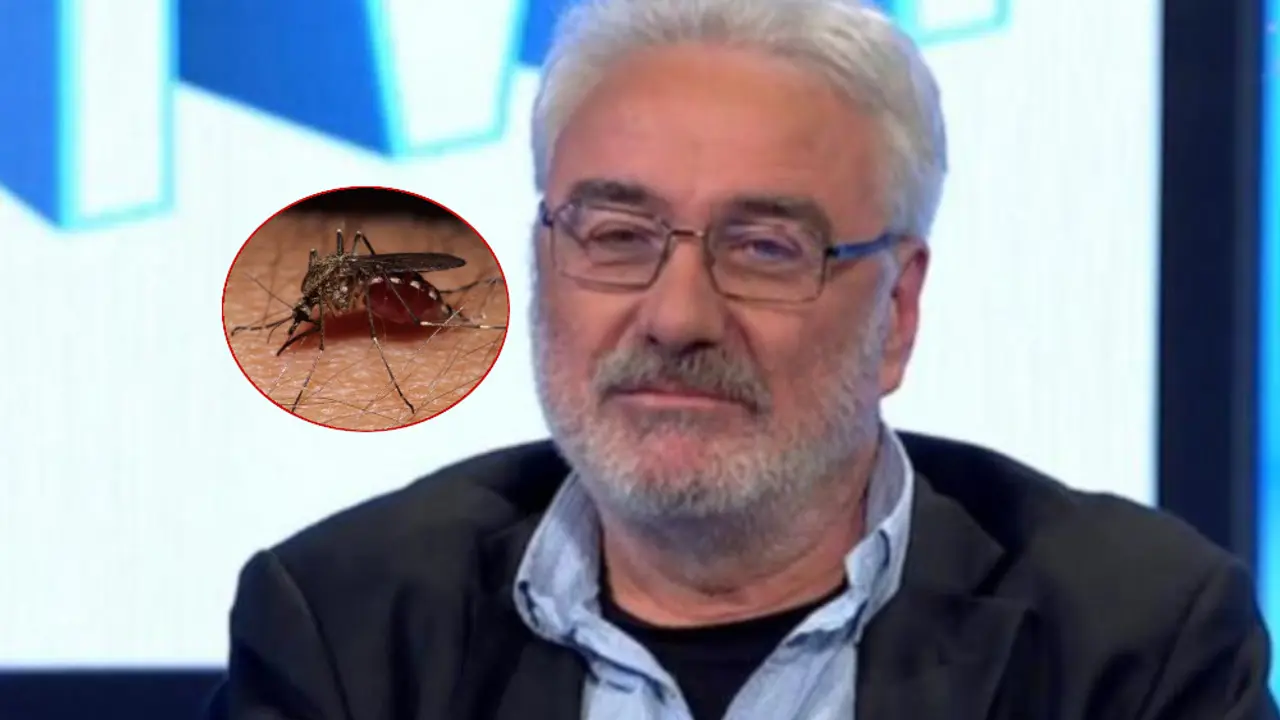 Branimir Nestorović