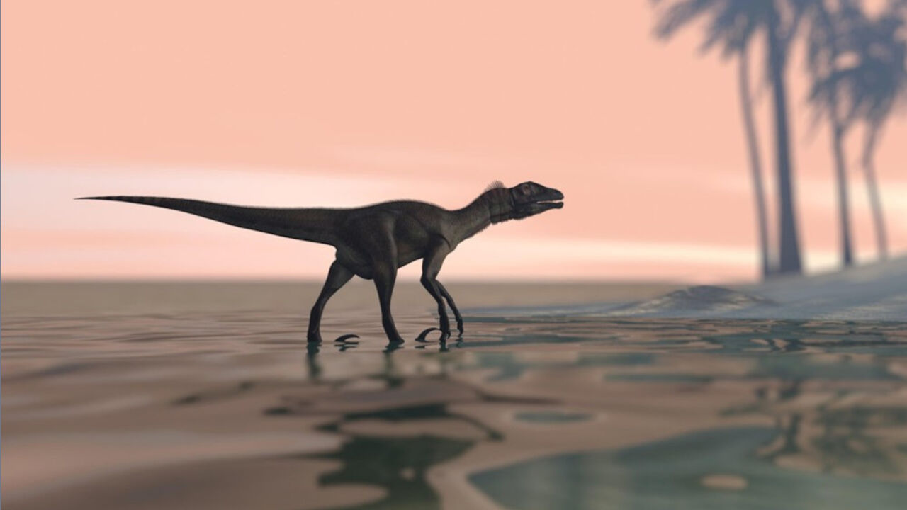 Dinosaurus