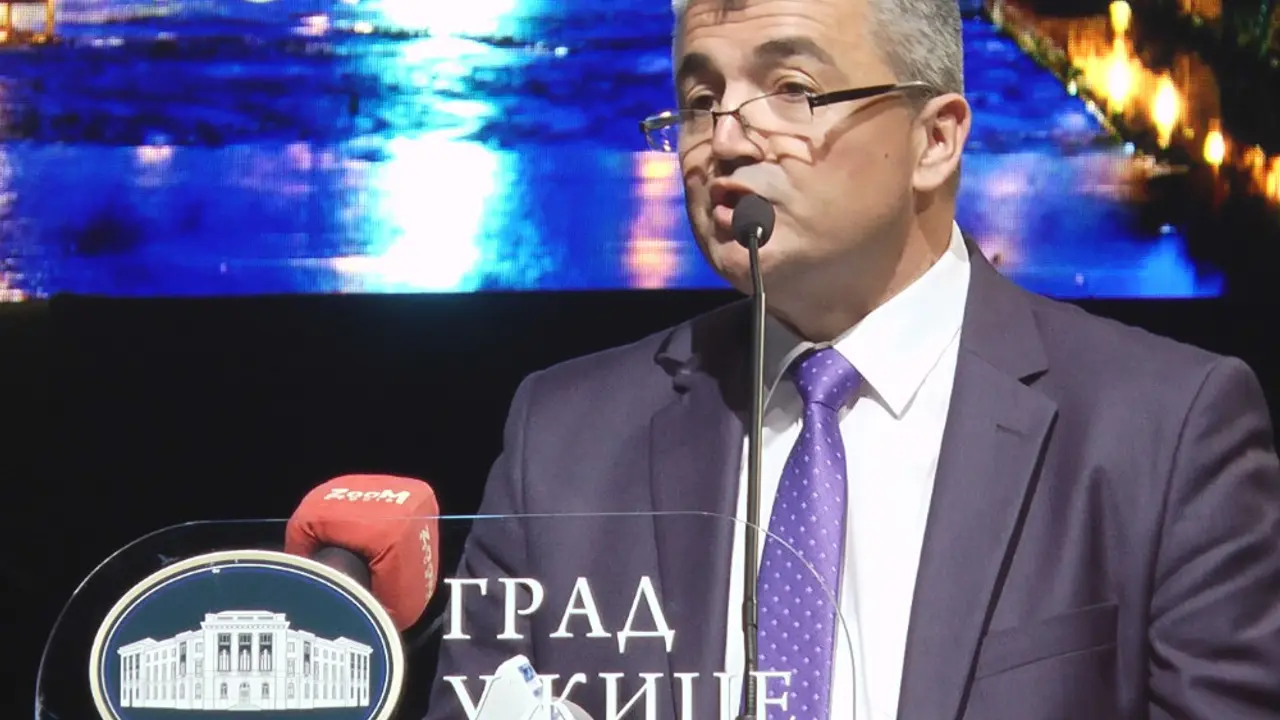 Branislav Mitrović