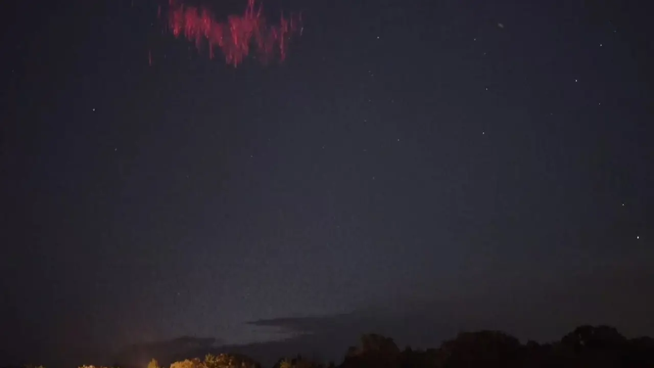 Crveni vilenjak