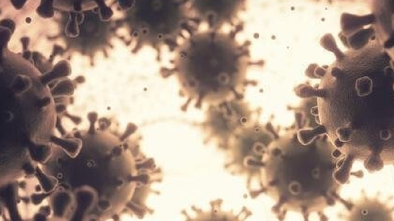 Korona virus