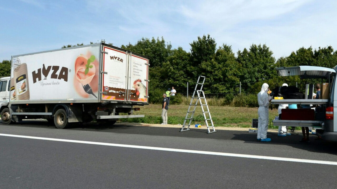 Kamion