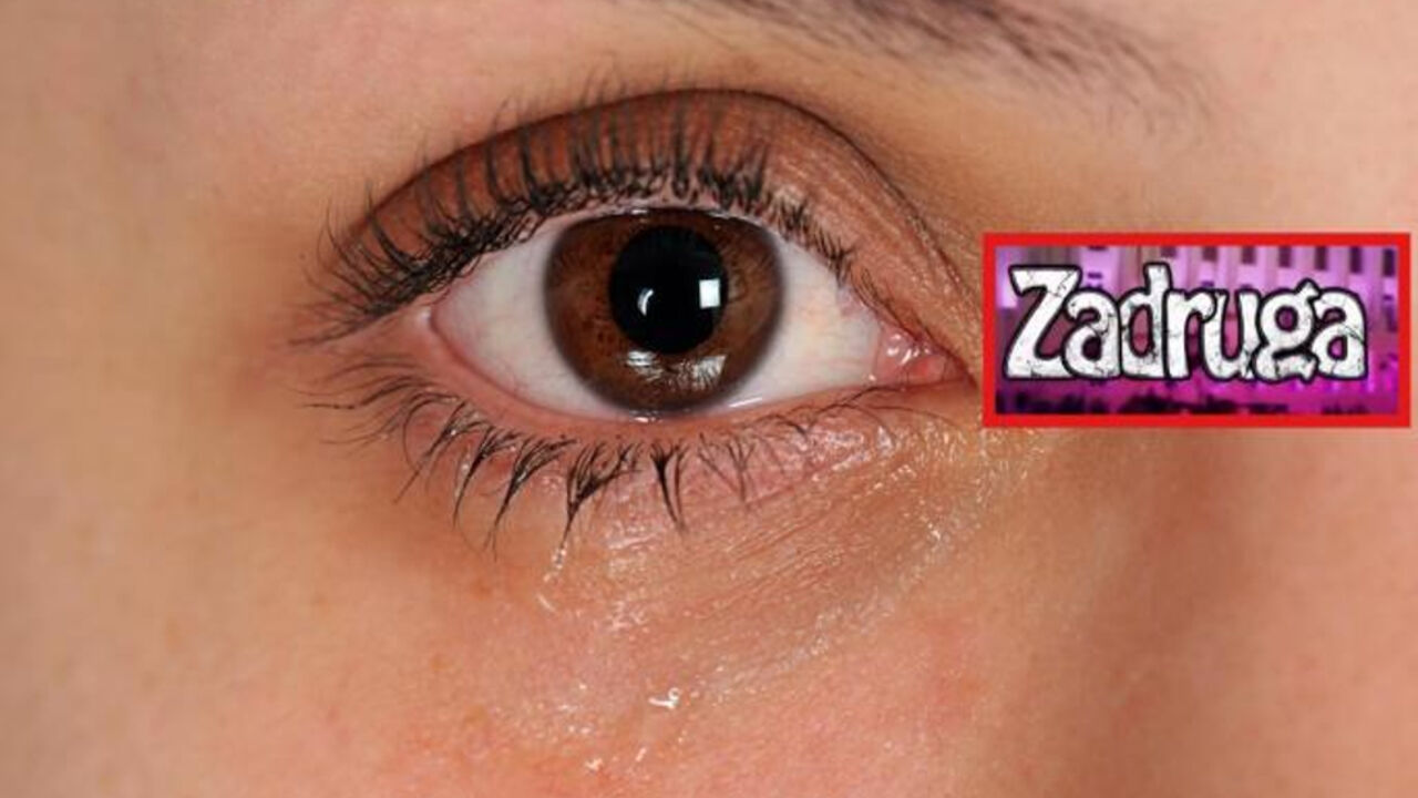 Zadruga 4