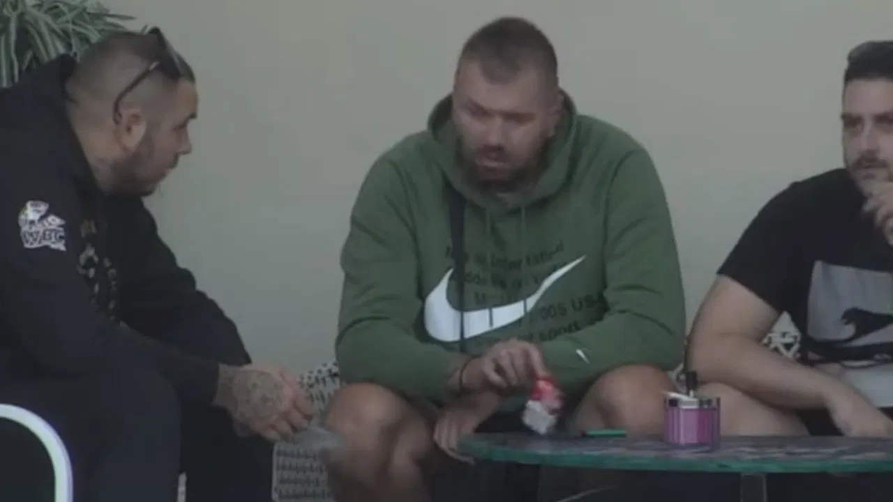 Zadruga