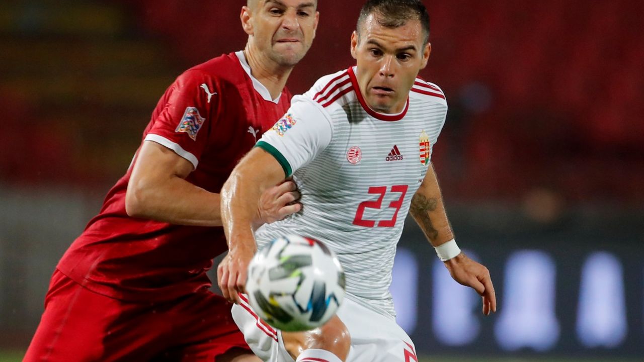 Nemanja Nikolić i Stefan Mitrović