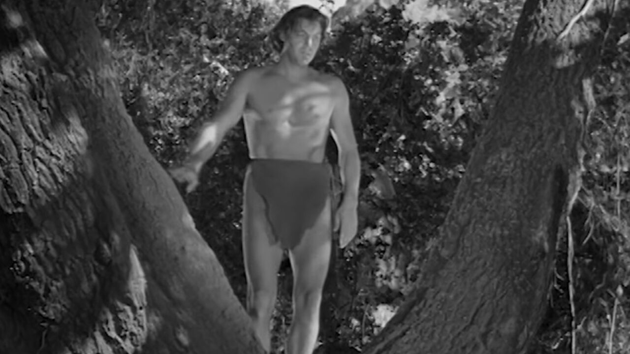 tarzan