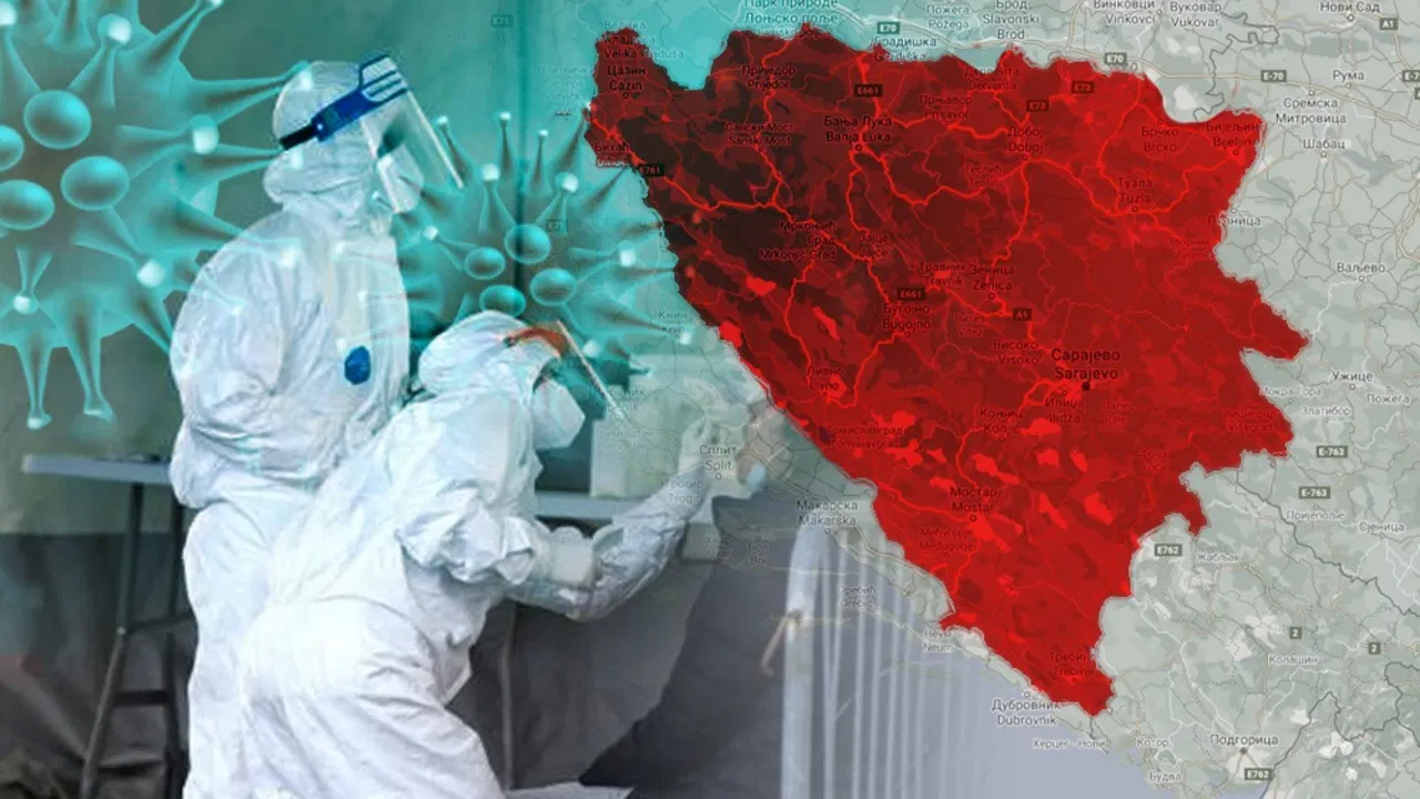 korona virus