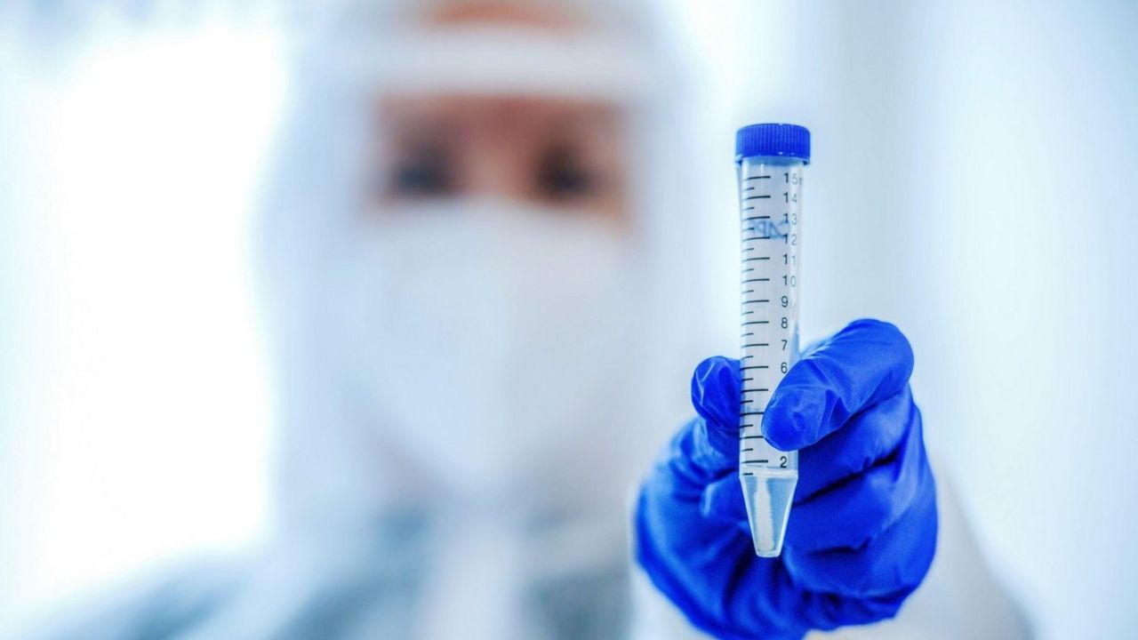 koronavirus