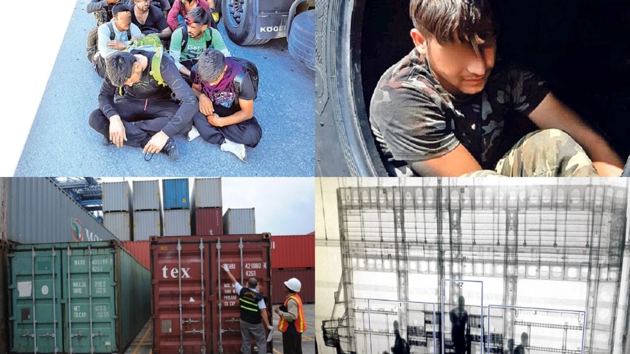 Migranti, Migrant