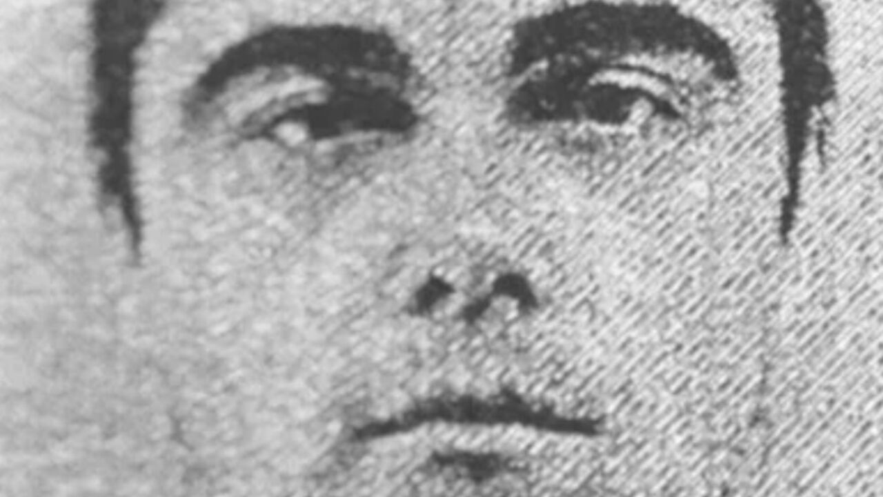 Nenad Alajbegović
