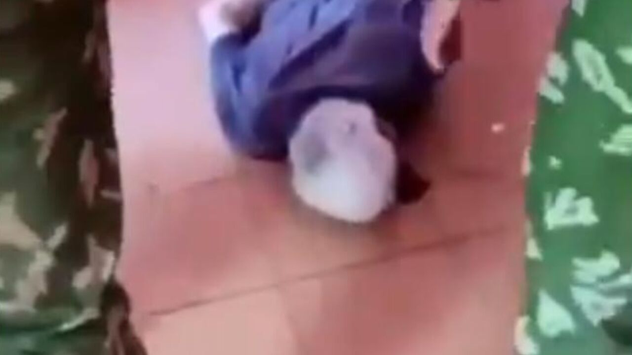 Odsecanje ušiju i glave