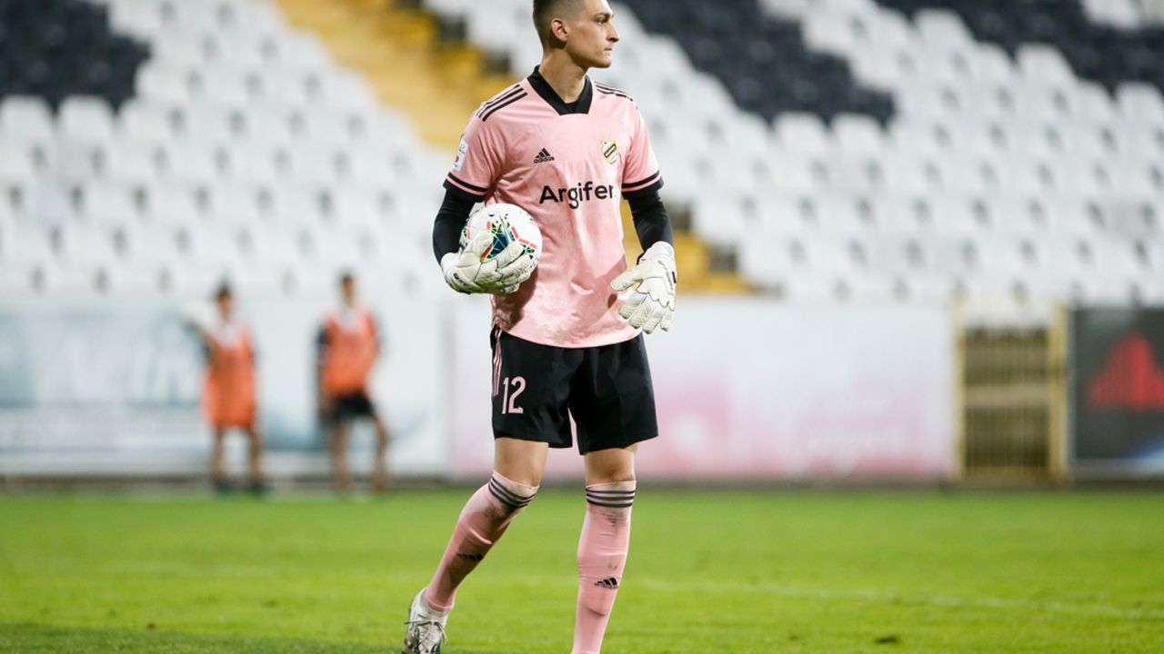 Đorđe Petrović