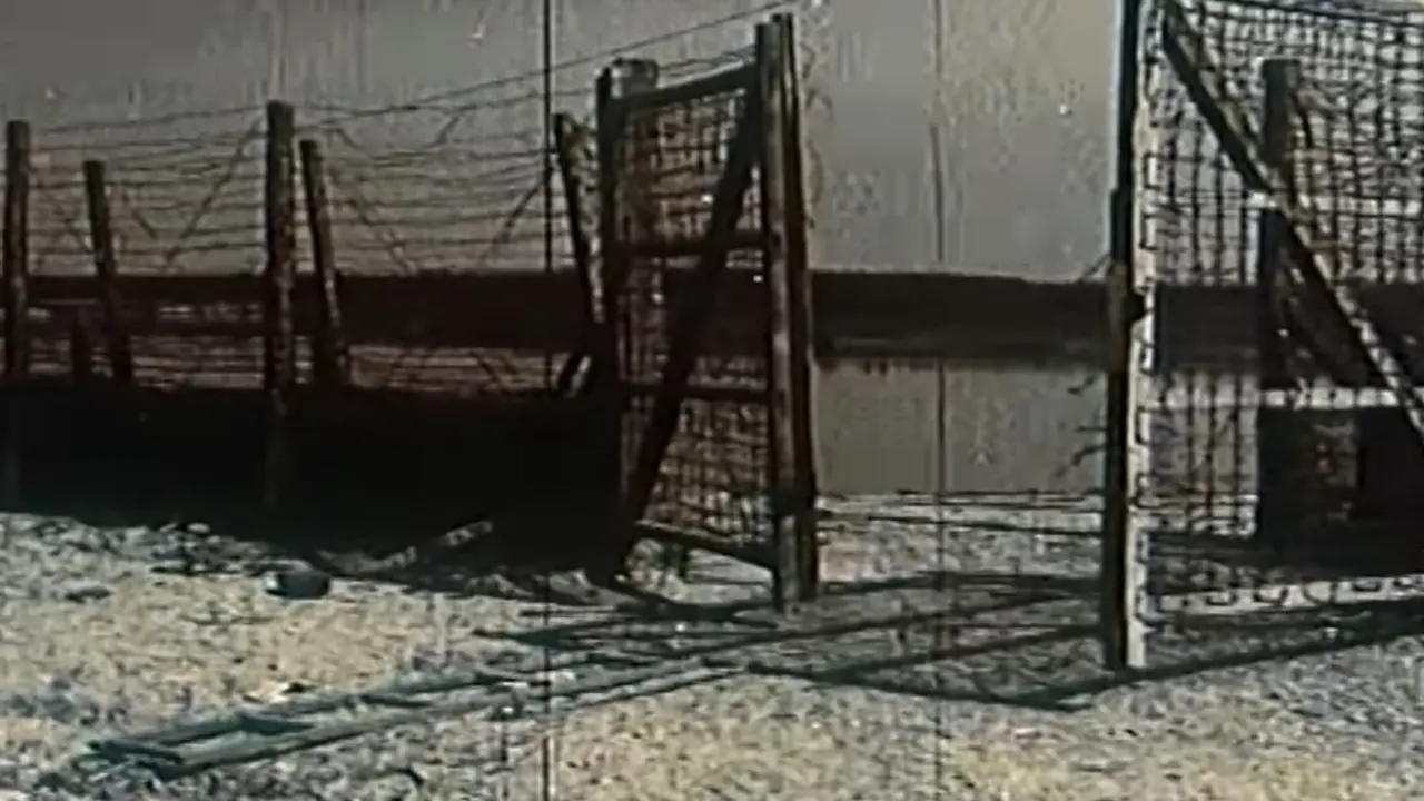 Jasenovac