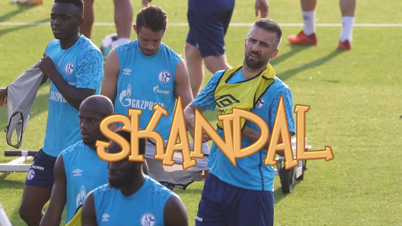 Vedad Ibišević