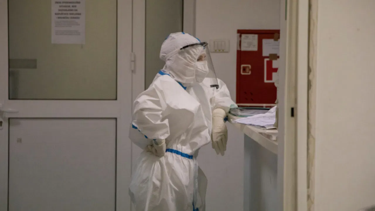 korona virus
