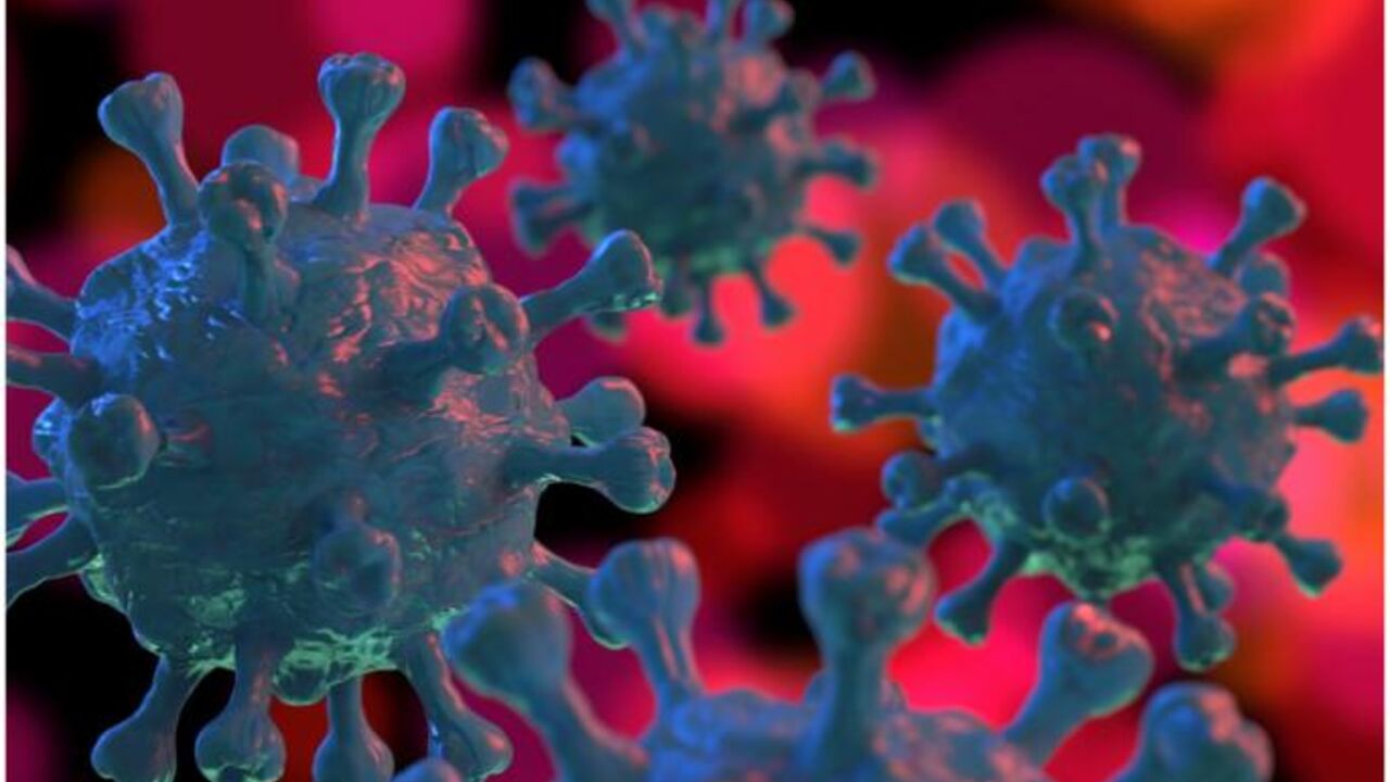 Koronavirus