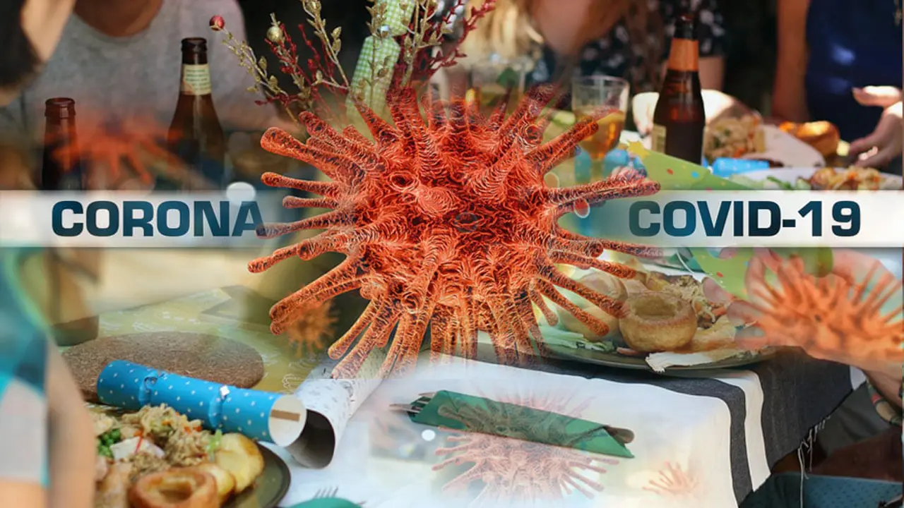 korona virus