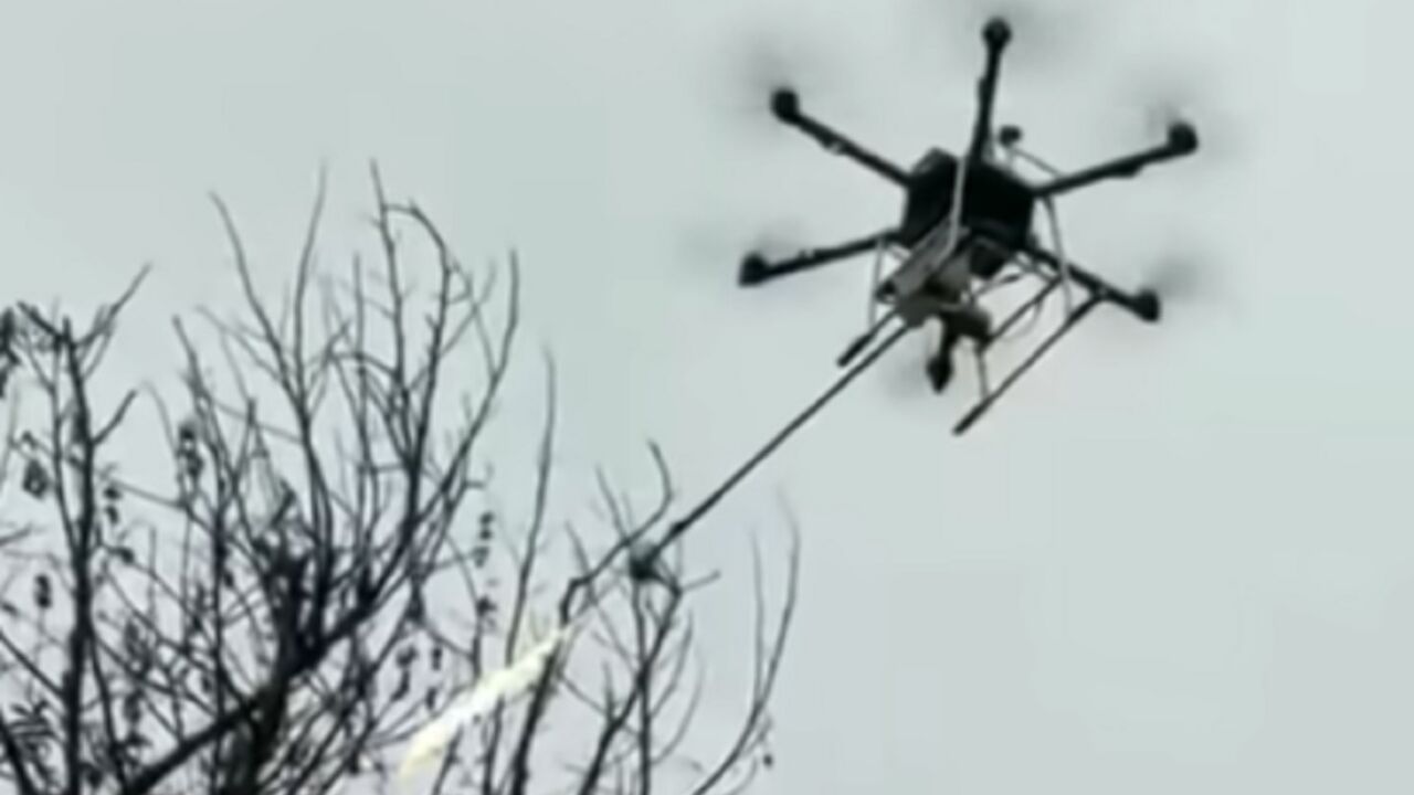 Dron
