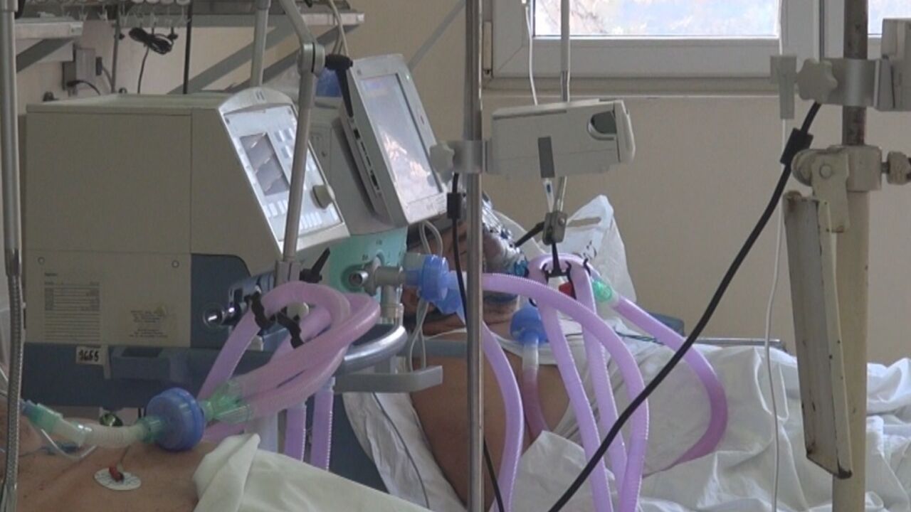 koronavirus