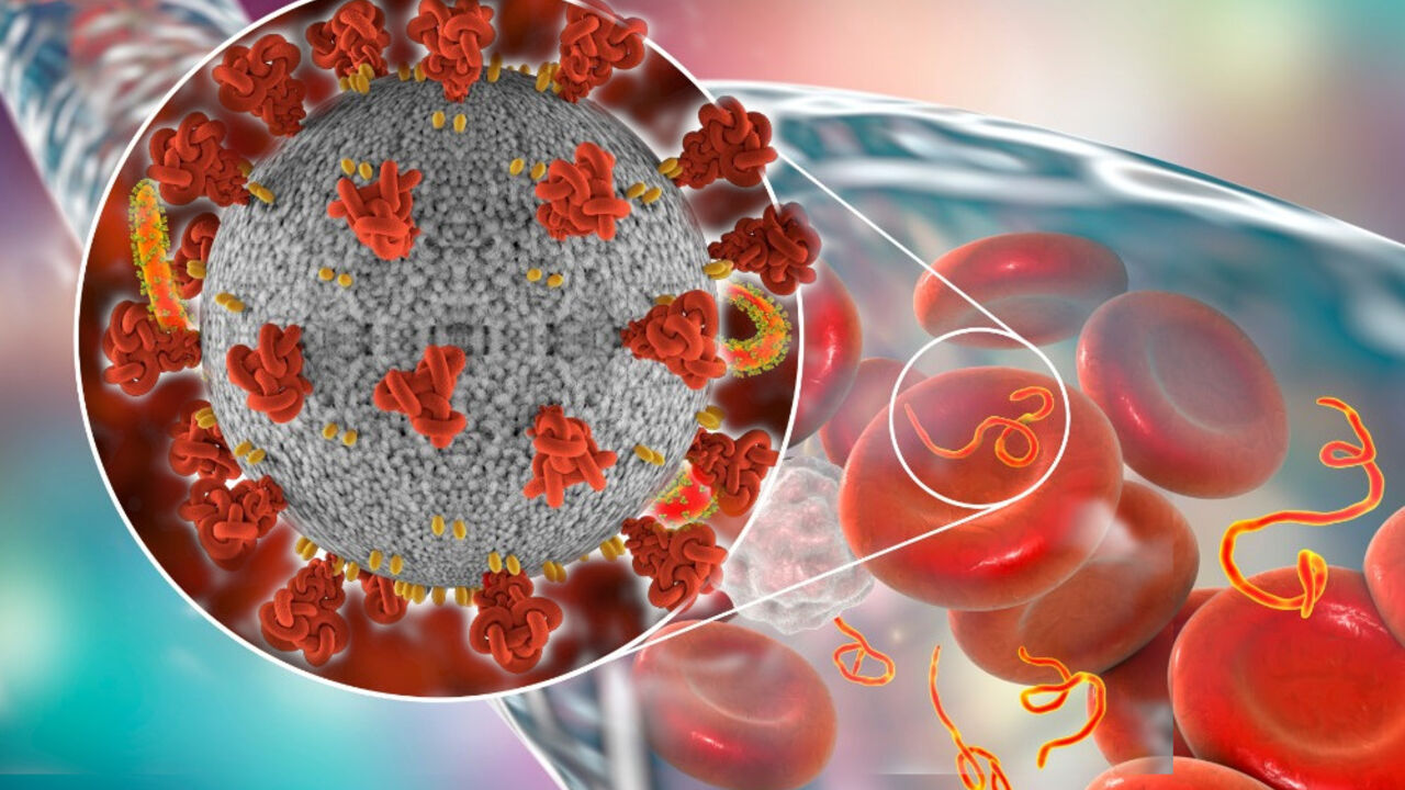 ebola korona