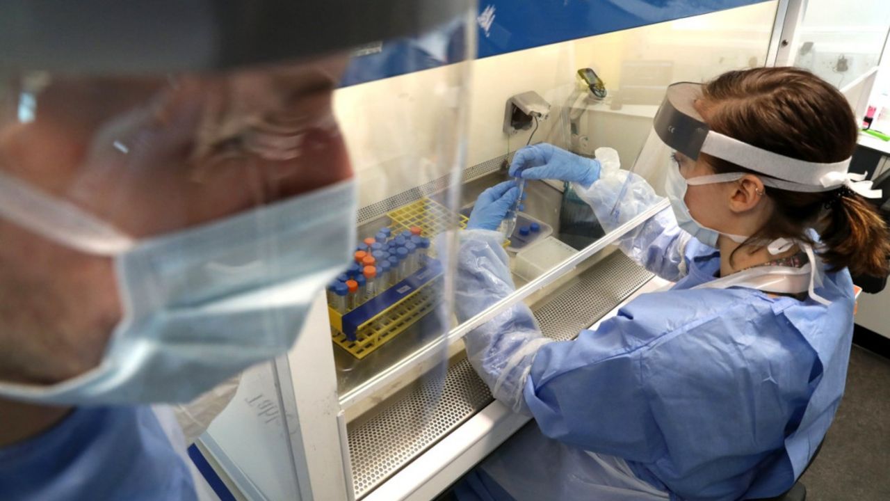 koronavirus