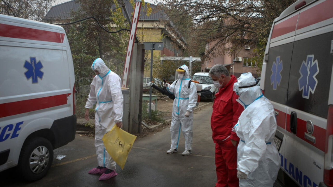 korona virus