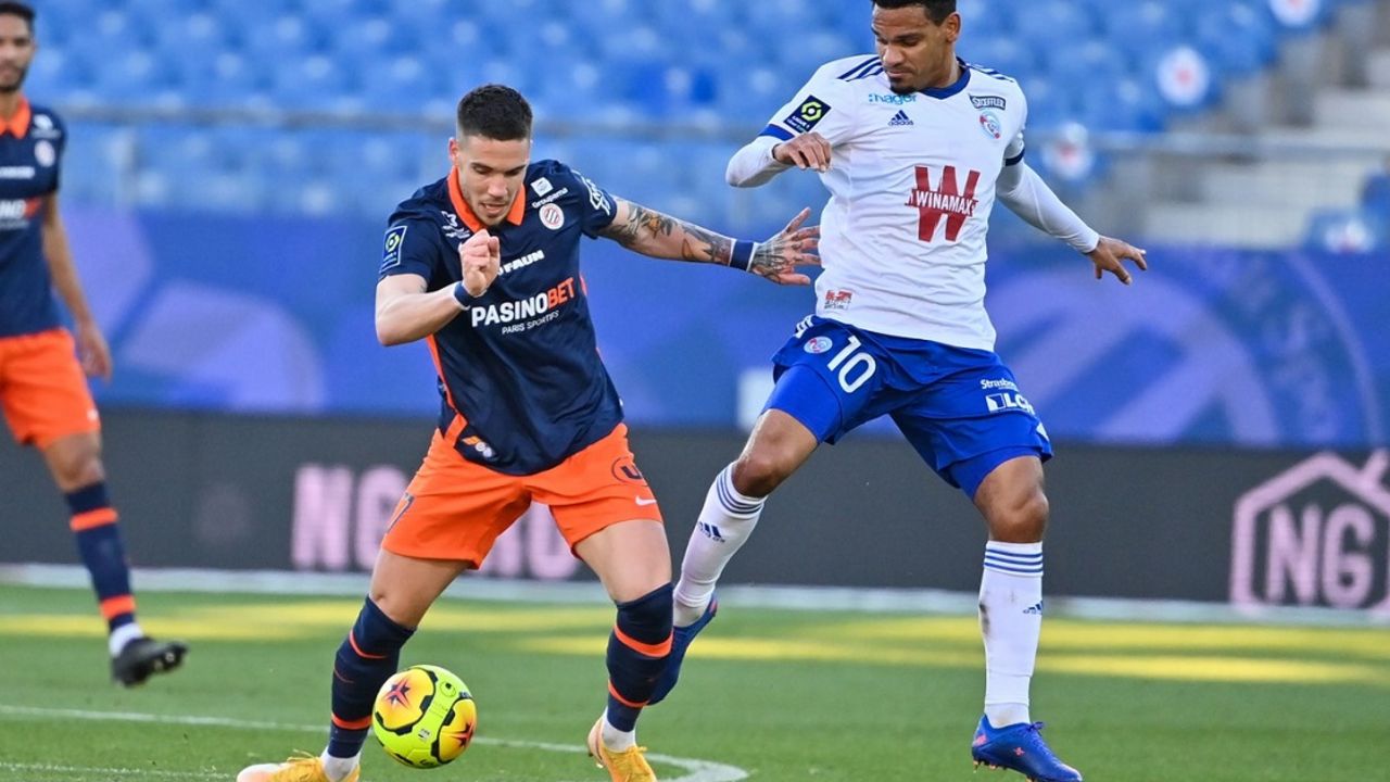 Mihailo Ristić