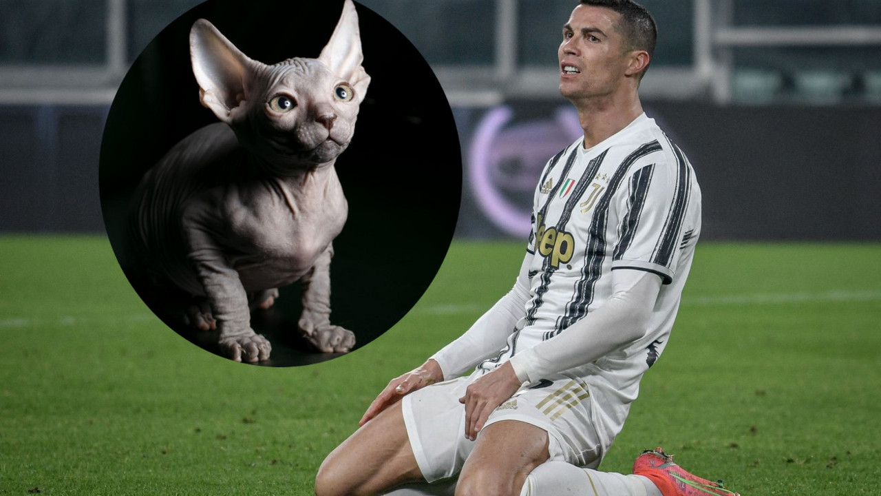 Kristijano Ronaldo