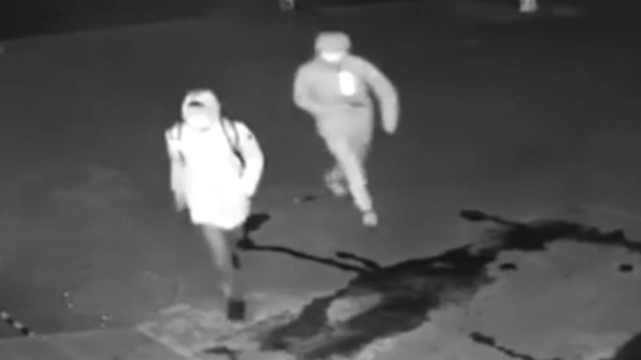 Pljačkaši