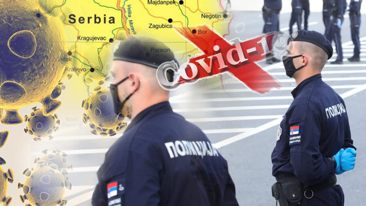 korona virus