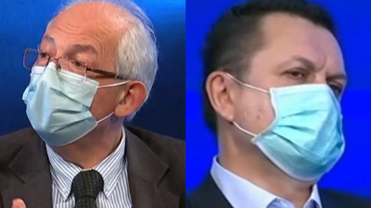 Kon i Šekler