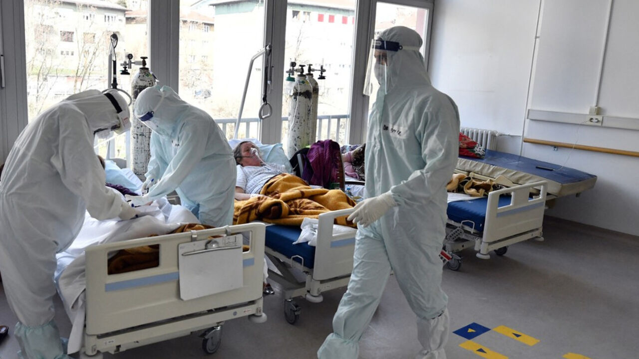 korona virus